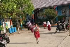 Guru SDN 48 Latihan Mandiri Untuk Implementasikan Kurikulum merdeka