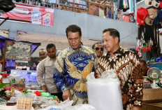 Mentan Pastikan Indonesia Tidak Akan Impor Beras hingga Akhir 2025