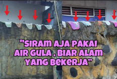 Wanita Ini Resah Tetangganya Jemur Celana Dalam Aneka Warna Tiap Hari, Saran Netizen Kocak Banget!