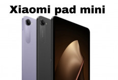Xiaomi Pad Mini Resmi Meluncur, Tablet Kompak Pesaing iPad Mini