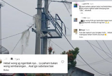 Trafo dan Kabel PLN di Gunung Ibul Prabumulih Dicuri, Netizen: Bukan Wong Sembarangan