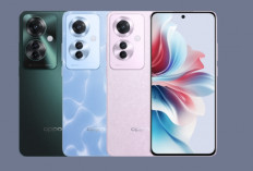 Oppo Reno11 F 5G, Desain Mewah dan Performa Tangguh dengan Harga Terjangkau