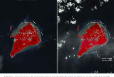 Gambar Satelit Ungkap Pulau Baru di Jepang Terus Membesar, Kok Bisa?