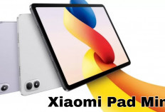 Xiaomi Pad Mini Resmi Rilis Global, Bawa Layar 3K dan Chipset Flagship