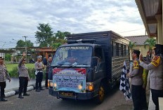 3 Ton Jagung Petani Cambai Diserap Bulog, Polres Prabumulih Perkuat Ketahanan Pangan Daerah