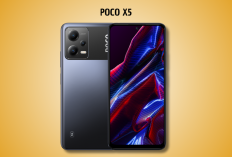 POCO X5 5G: HP Rp 2 Jutaan dengan Layar AMOLED 120Hz dan Chipset Snapdragon 695!