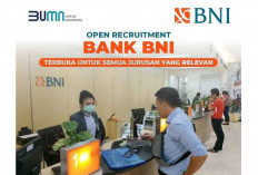 Bank BNI Buka Lowongan Kerja Posisi ODP IT, Deadline 31 Desember