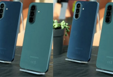 Galaxy M47 Siap Meluncur: Desain Baru, Performa Lebih Gahar dari Samsung