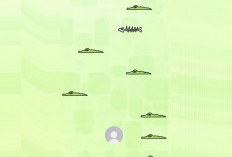 Banyak yang Belum Tahu! Ini Game Rahasia di DM TikTok