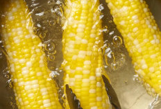 Jangan Dibuang! Ini Khasiat Air Rebusan Jagung yang Jarang Diketahui 