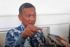 Menteri ESDM Tolak Usulan Pembentukan Badan Pengelola Energi Terbarukan, Ada Apa?