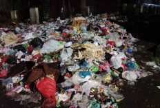 Sampah Menumpuk Tak Kunjung Diangkut 