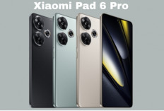 Harga Ramah di Kantong POCO F6 Bawa Snapdragon 8s Gen 3: Layar AMOLED 1,5K & Fast Charging 90W 