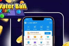 Water Ball Puz Sort, Game Santai yang Bisa Hasilkan Saldo DANA Langsung!