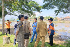 Warga Kayuagung Diteror Buaya, BKSDA Sumsel Tindak Lanjuti Insiden di Sungai Komering