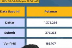 Kemenkumham Jadi Primadona: 1,3 Juta Pelamar Meramaikan Seleksi CPNS 2024