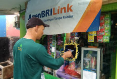 Pahlawan Inklusi Keuangan, AgenBRILink di Tengah Kebun Kelapa Sawit Berhasil Dekatkan Layanan Perbankan dengan