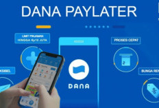 Cara Mudah Upgrade Akun DANA ke Versi Premium dan Dapatkan Fitur PayLater