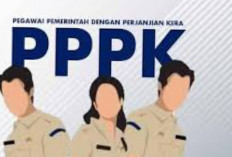 66.495 Tenaga Honorer Gagal Jadi PPPK Paruh Waktu, BKN: R2 dan R3 Tak Perlu Panik