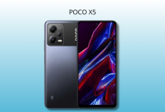 Harga Poco X5 5G Terbaru 2025: Spek Snapdragon, Layar AMOLED 120Hz, Kamera 48 MP