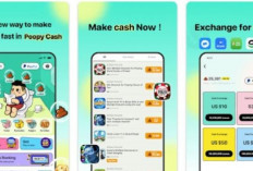 Cara Mendapatkan Saldo DANA Gratis dari Game Poopy Cash Terbaru 2025
