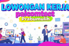 Kesempatan Emas! PalComTech Prabumulih Rekrut Account Officer Baru