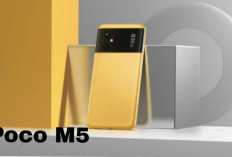 Poco M5, Smartphone Tangguh dengan Baterai Super Jumbo dan Desain Elegan