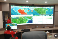 Waspada Karhutla! BPBD Sumsel Temukan 88 Hotspot: Muba - OKI Terbanyak, Prabumulih 1 Titik