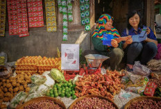 BRI Salurkan Kredit Mikro Rp632,22 Triliun Hingga Maret 2025