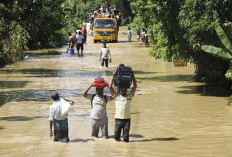 Banjir Parah di Bangladesh Timur: Sektor Pertanian Rugi 280 Juta Dolar AS