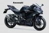 Motor Sport Kawasaki Ninja ZX-25R, Touring Jadi Lebih Asik