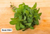 4 Khasiat Daun Mint Untuk Kesehatan, Membantu Meredakan Stress