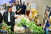 Gubernur Luncurkan Program Mulok, Sumsel Genjot Kemandirian Pangan dari Bangku Sekolah