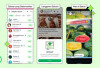 WhatsApp Resmi Tampilkan Iklan, Tampilnya di Mana? 