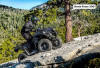 Lewati Berbagai Medan Rintangan, Motor ATV Brute Force 300 Solusinya
