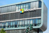 Microsoft PHK 9.100 Pegawai, Eksekutif Sarankan Chatbot untuk Redakan Tekanan Mental