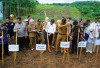 Tanam Padi Gogo di Lahan Sawit, Target 198 HA