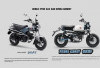 Dua Motor Mini Bergaya Ikonik, Siapa Lebih Menarik Honda Monkey Vs Honda ST 125 Dax