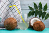Air Kelapa, Minuman Alami Kaya Manfaat untuk Hidrasi dan Kesehatan Tubuh
