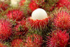 Membantu Meningkatkan Kesehatan Kulit, Ini 5 Manfaat Lain Buah Rambutan