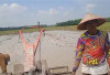 Petani OKU Timur Resah: Solar Langka, Musim Tanam Padi Terancam Mundur