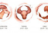 Ramalan Zodiak Terbaru, Taurus Jangan Lupa Untuk Membagikan Ide Ide Anda