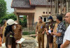 Cegah Penyimpangan, Kejari Prabumulih Monitoring Proyek Gedung Pustu Muara Dua Barat