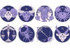 Ramalan Zodiak Sagitarius, Leo, Scorpio, Taurus, Cancer Terbaru