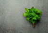 Meningkatkan Kesehatan Mulut, Ini Manfaat Alami Daun Mint