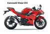 Motor Sport Ninja 250 dan Ninja 250 ABS, Siap Keliling Kuasai Jalanan Kota