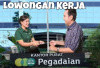 Lowongan Kerja 2026 Dibuka! PT Pegadaian Cari Account Officer, Fresh Graduate Bisa Daftar