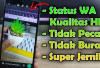 Video Story WA Pecah? Coba 5 Cara Ini Biar Tetap HD