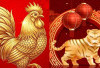 Ramalan Shio Hari Ini: Ayam Diminta Jujur Hadapi Tekanan, Naga Belajar Menerima Ketidaksempurnaan