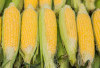 Ini 4 Manfaat Jagung Untuk Kesehatan, Salah Satunya Mendukung Kesehatan Jantung
